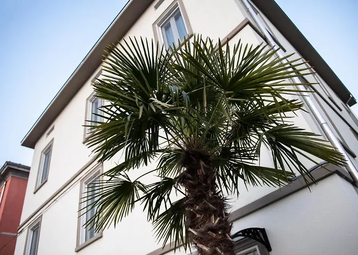 Le Palme Guest house 4*